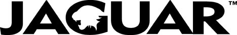 Jaguar Logo