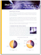Silicon Image 2001 Annual Report Brochure